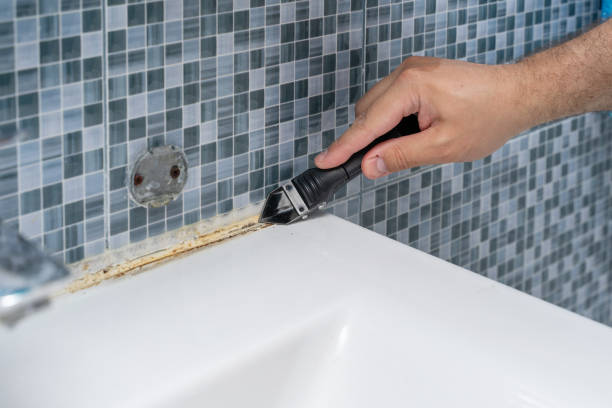 Best Affordable Mold Removal  in , WY