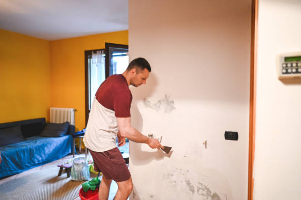 Best Water Damage Restoration  in , WY